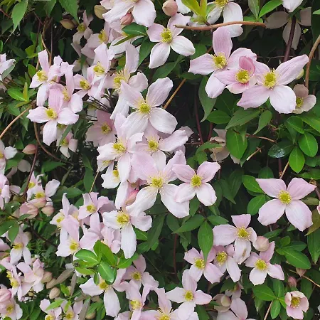 Nocleg ze śniadaniem Val Colla 3*