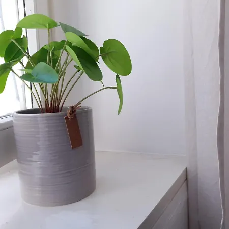 Val Colla 3* Лугано