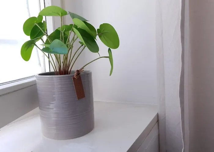 Val Colla 3* לוגאנו