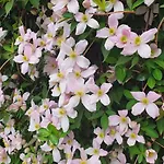 Bed and Breakfast Val Colla 3*